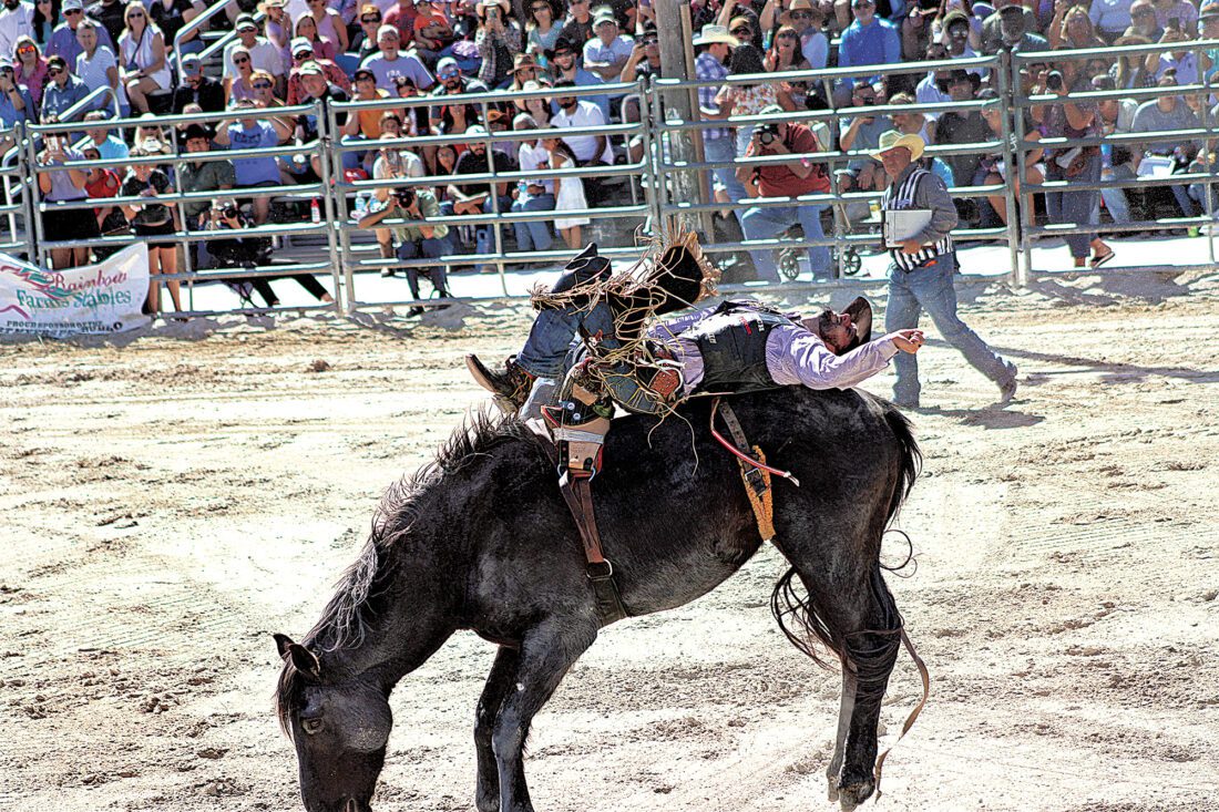 Fort Carson Rodeo Riders Fort Myers Rodeo notches record attendance - Cape Coral Breeze